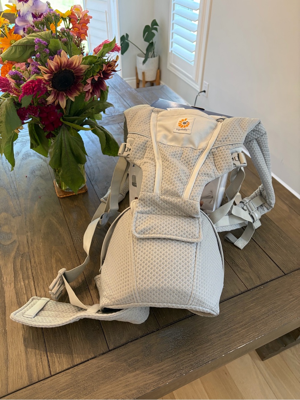 Ergobaby Alta in Grey